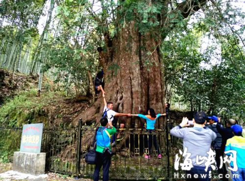 DlFȫҰtɼλ˷ܭh