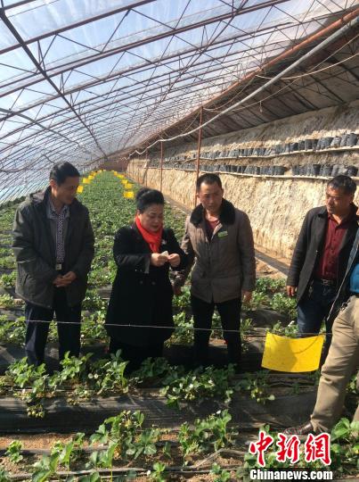 中國“以螨治螨”技術讓內蒙古同胞看到綠色希望