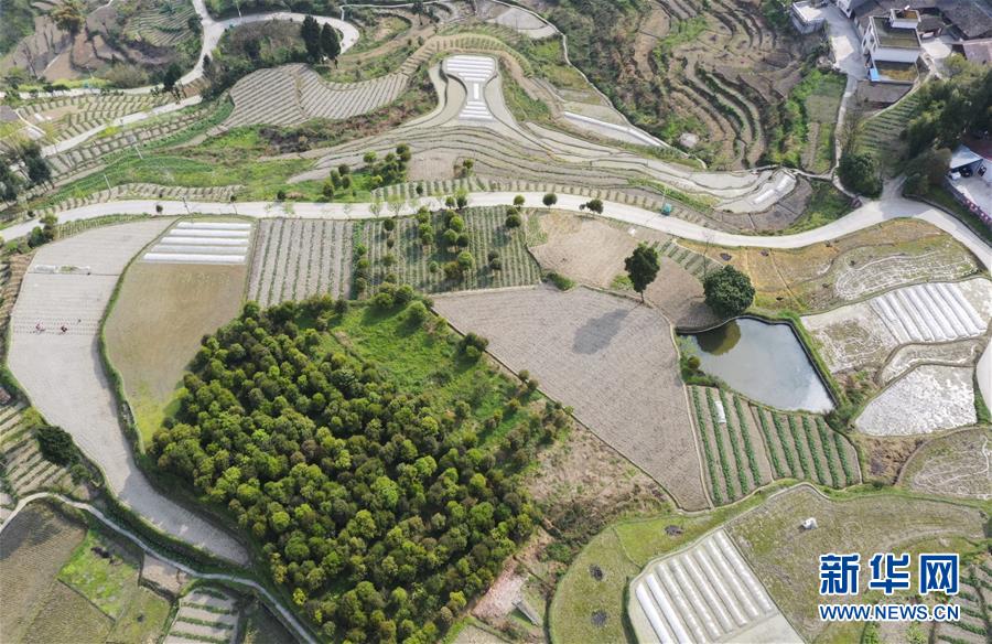 (新華視界)(3)山鄉(xiāng)春景