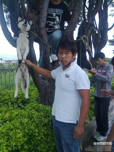 網(wǎng)曝男子虐殺狗照片,回應(yīng)稱(chēng)關(guān)你屁事。