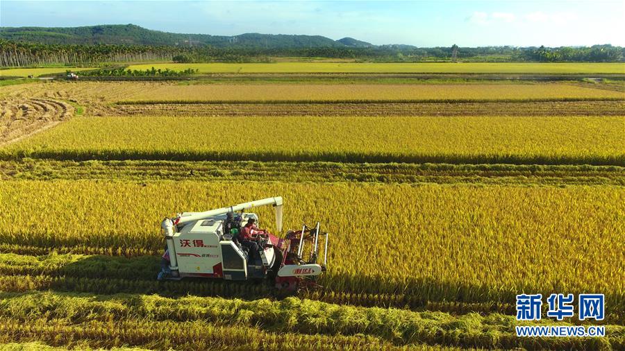 #(經濟)(1)立夏農忙