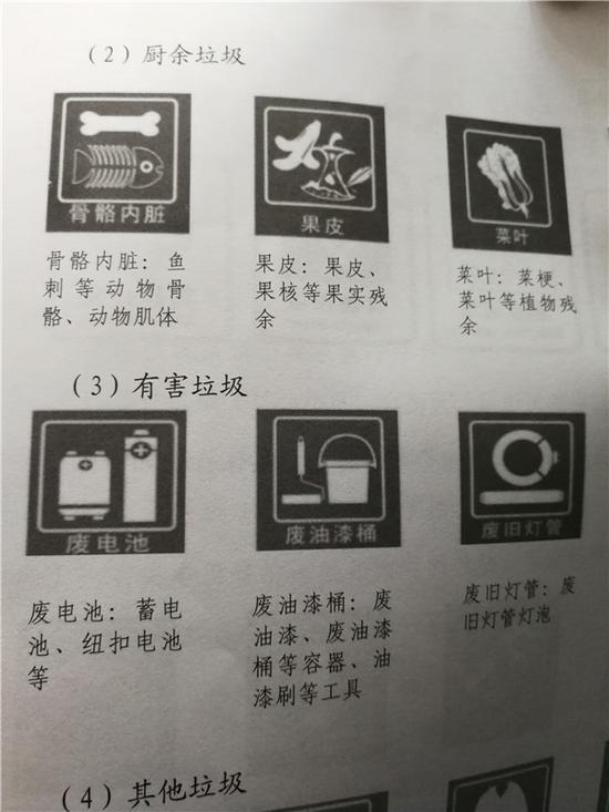 聲音:“小手拉動大手”促進垃圾分類