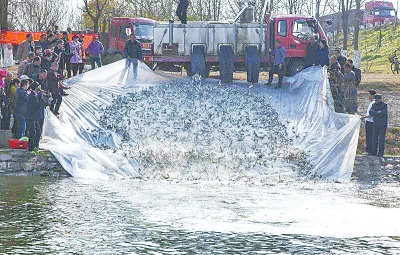 漯河開展?jié)O業(yè)資源增殖放流活動(dòng) 10萬尾魚苗沙河“安家”