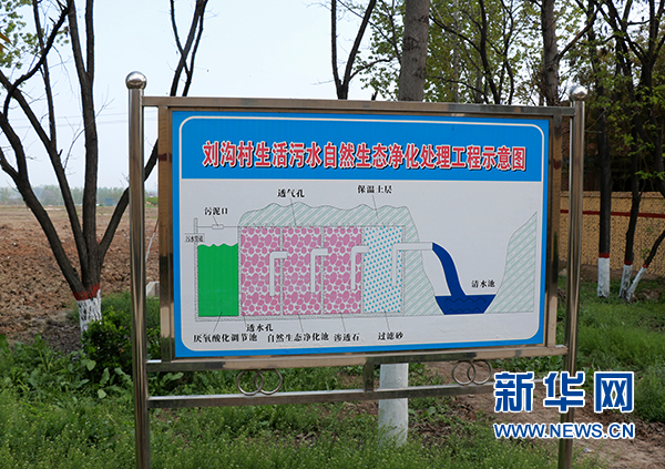 從隨意扔到自覺放 看河南禹州如何破解 垃圾圍村