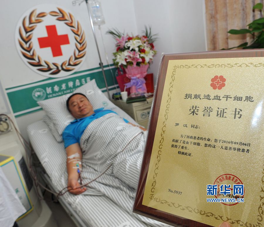 鄭州市民捐獻 生命種子 挽救廣東女孩兒 鄭州市民捐獻 生命種子 挽救廣東女孩兒