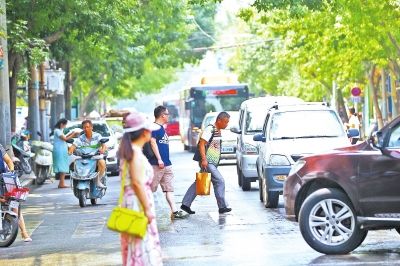 鄭州重罰機動車不禮讓斑馬線行為 罰款并扣3分