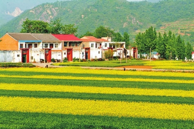 以3億元激活30億元 濟源助力現代農業“輕裝快跑”