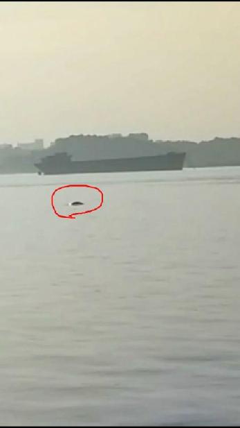 點擊查看高清原圖