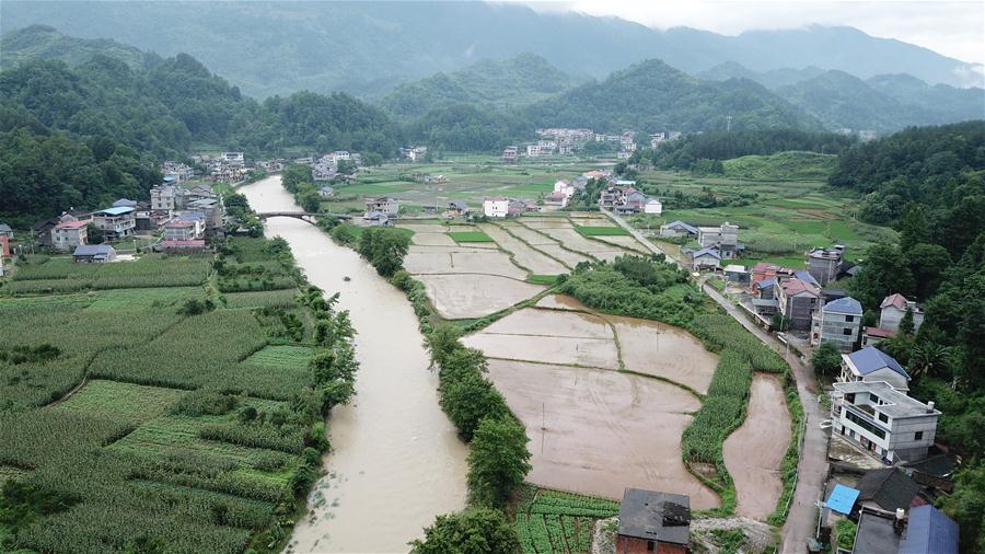 (防汛抗洪)(1)湖南桑植受強降雨影響 農作物大面積受災