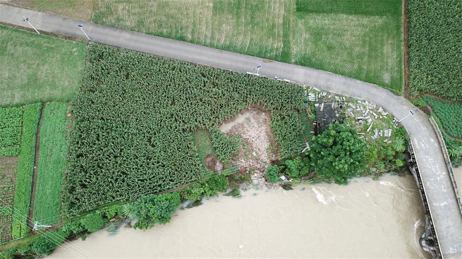 (防汛抗洪)(3)湖南桑植受強降雨影響 農作物大面積受災