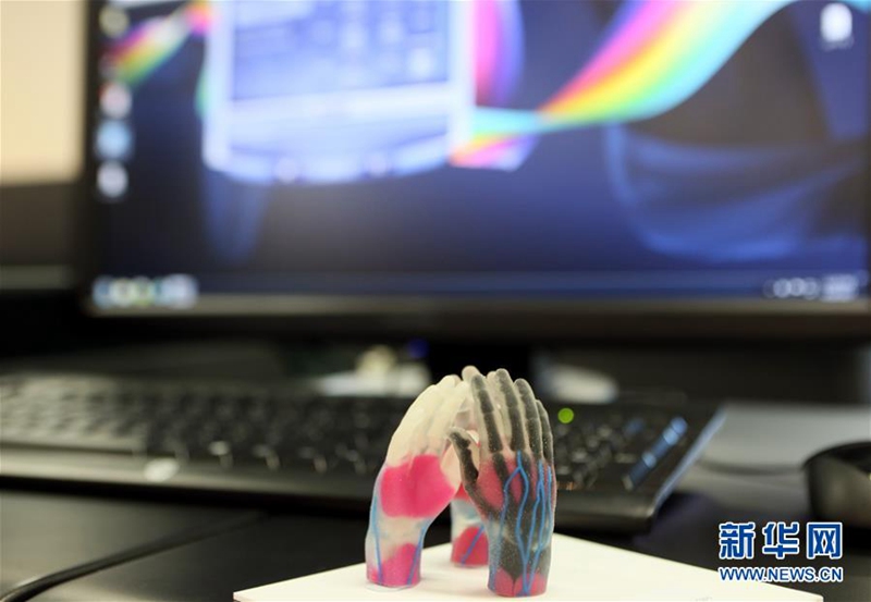 香港理工大學三維打印技術中心實驗室展示打印出的人手模型(4月19日攝)。 4月19日,香港理工大學三維打印(3D打印)技術中心實驗室開幕,該校與一所公立醫院合作利用三維打印技術研發的導管主動脈瓣植入術模擬系統也同時啟用。新華社記者 李鵬 攝