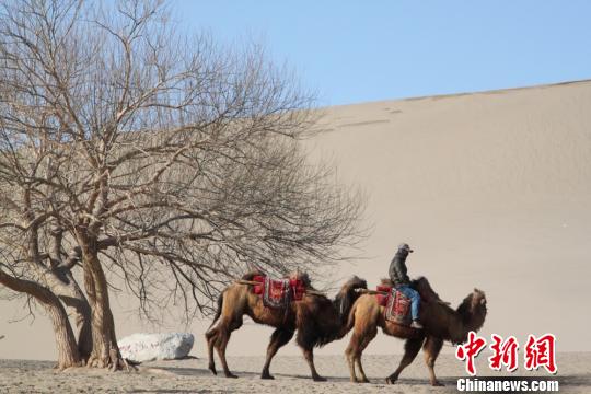敦煌鳴沙山月牙泉景區指紋識別購票后3天內可多次游覽