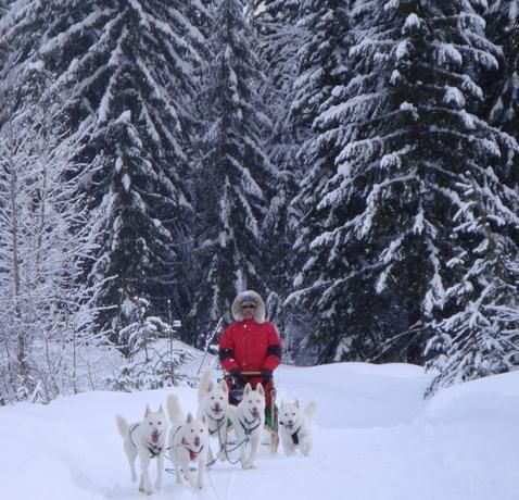 7個地方帶你體驗真正的冰雪奇緣