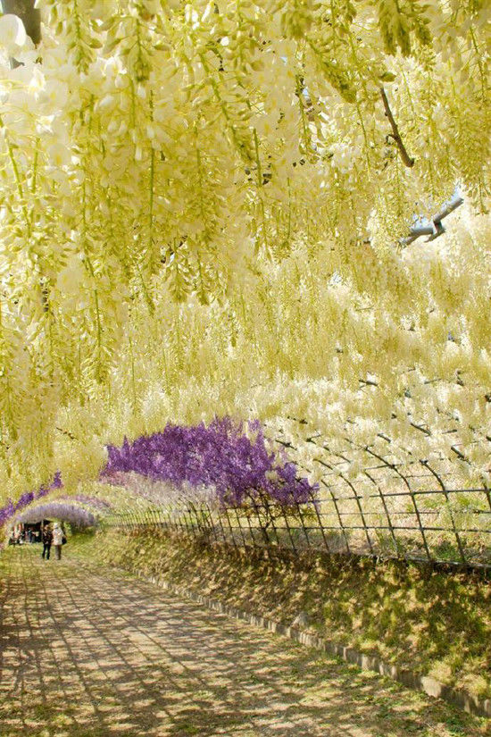 比你所知道的更美 宛如仙境十大蜜月圣地