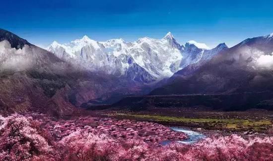 少年!不去賞花踏青 怎么對得起春光乍泄