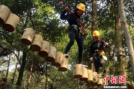 華中首家飛越叢林探險項目落戶長沙游客體驗樹上探險