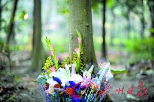 廣州民政部門:炒墓地是非法集資 只會血本無歸