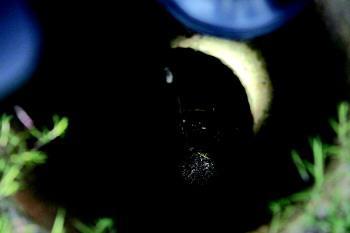 濟寧地震局否認井水“開鍋”系地震前兆:自然現象