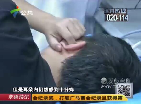 @֣Ӷ(ni)LMɫx˺ҧʹ