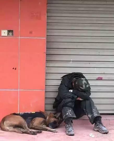 深圳這幾天最讓人淚濕眼眶的40個瞬間