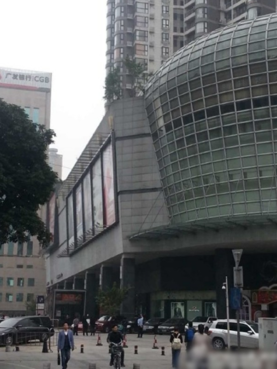 天降大樹插進寶馬車 市民圍觀拍照(圖)