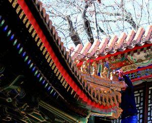 近日有市民發(fā)現(xiàn),頤和園排云殿西北角屋脊邊緣處一尊“騎鳳仙人”缺失,此地緊鄰爬山走廊,游客伸手可觸,懷疑構(gòu)件被盜。記者昨日探訪看到,有工作人員在現(xiàn)場修復(fù)。頤和園管理處稱,缺失琉璃構(gòu)件為復(fù)制構(gòu)件,常年遭風(fēng)雨侵蝕,遇大風(fēng)墜落,被游客撿拾,原件安然存放于文物庫房。