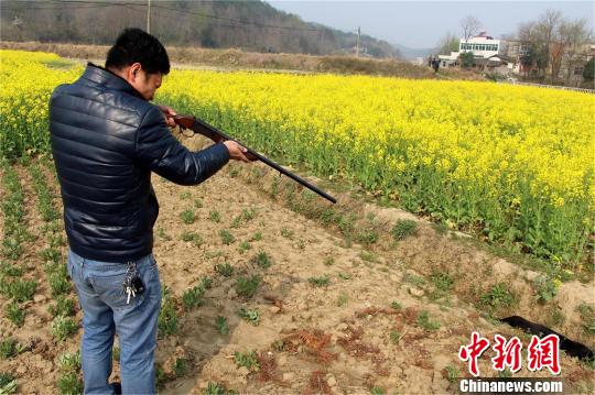 瘋狗發狂咬傷村民民警開槍將其擊斃(圖)