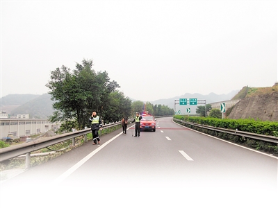 駿馬上高速路奔跑逾1小時