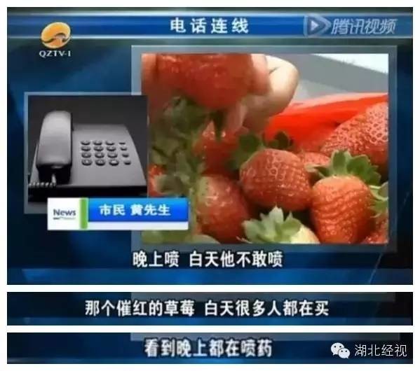 草莓采摘園有貓膩!晚上偷偷打藥 白天賣給游客(圖)1