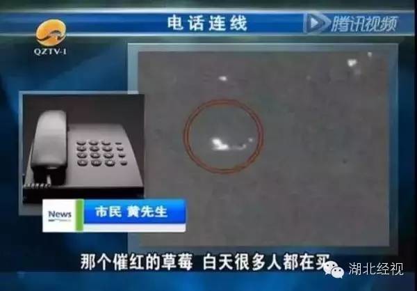 草莓采摘園有貓膩!晚上偷偷打藥 白天賣給游客(圖)3