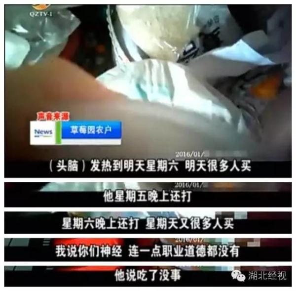 草莓采摘園有貓膩!晚上偷偷打藥 白天賣給游客(圖)4