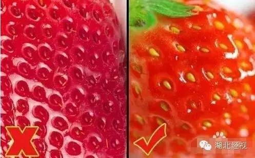 草莓采摘園有貓膩!晚上偷偷打藥 白天賣給游客(圖)6