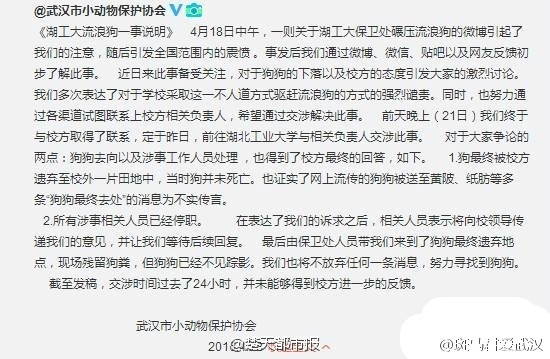 武漢動協就保安撞狗護發公告:涉事人員已停職