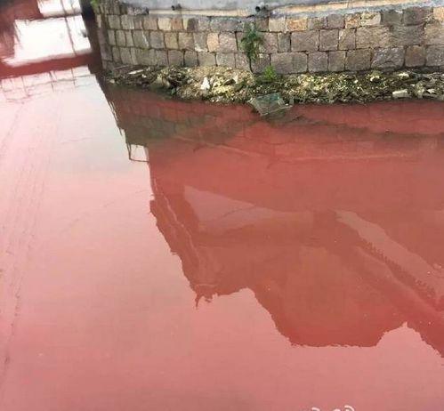 浙江寧波村莊河水一夜變紅 環保局:已清理(圖)