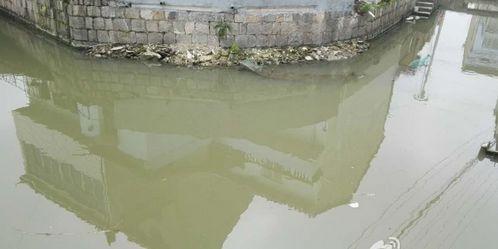 浙江寧波村莊河水一夜變紅 環保局:已清理(圖)