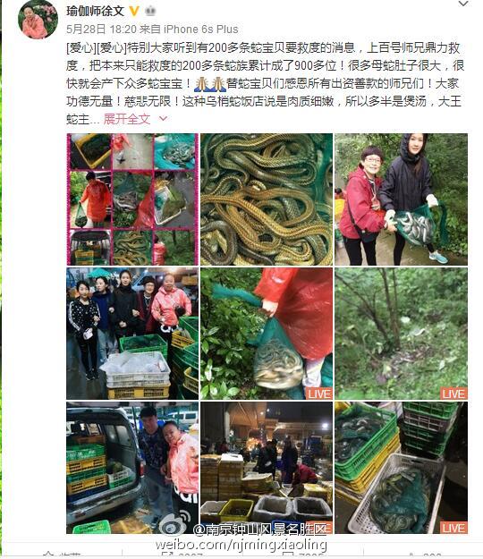 女子發微博稱放生900條蛇 南京官方回應(圖) 女子發微博稱放生900條蛇 南京官方回應(圖)