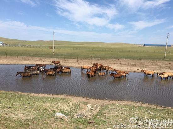 內(nèi)蒙古東北等局地可達(dá)40℃ 明后天高溫緩解