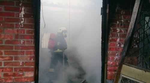  ûˆTM𾯬FڷgɴlFɾߺͯʬ Dλṩ