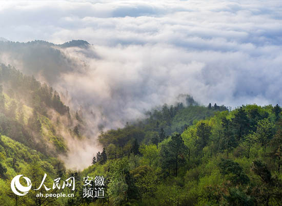 【治國理政新實踐·安徽篇】宣城:“綠色引擎”激活發(fā)展新動能