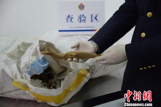 義烏郵路口岸首次截獲國家二級瀕危珍稀植物沉香木