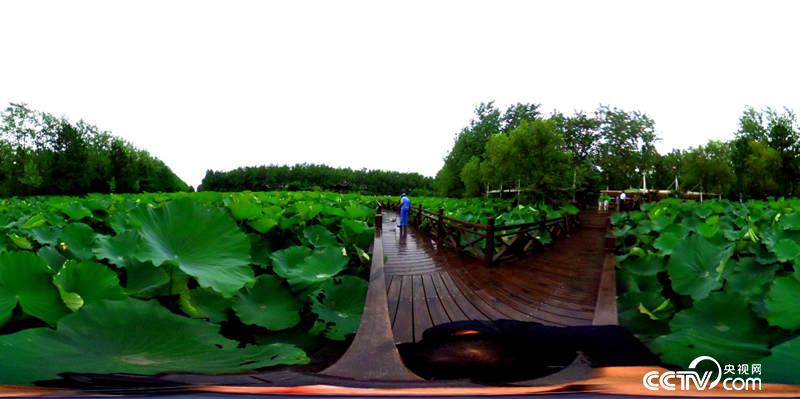 公園一景。(央視網(wǎng) 記者何川攝)