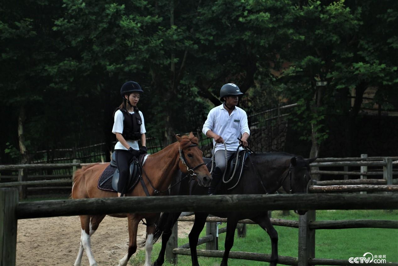 莫干山鎮(zhèn)高端精品民宿的核心區(qū)。(央視網(wǎng) 記者何川攝)