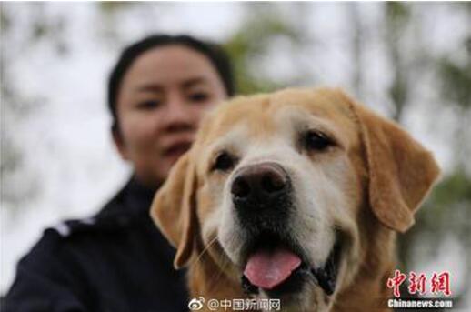 【暖新聞】你的春運之路 背后是他們的堅守和付出