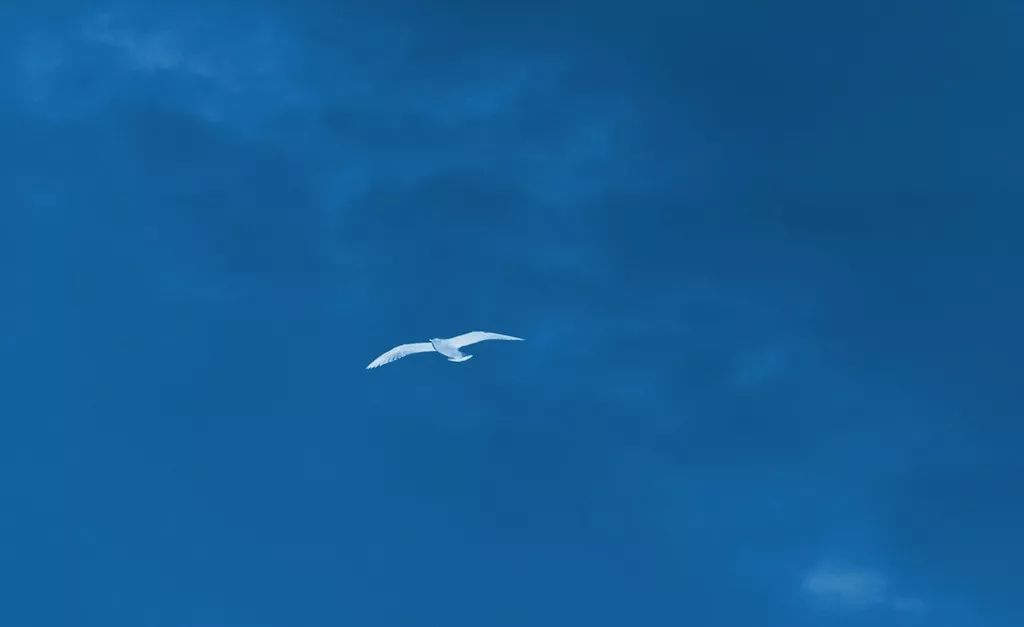 當干部就要習慣“不舒服”