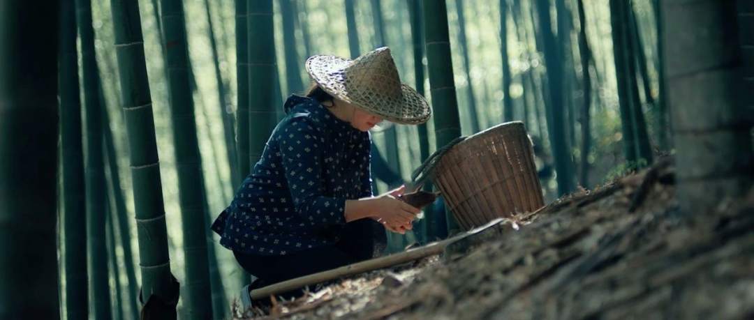 1541198630167002.png?x-oss-process=style/w10 1541198630167002.png?x-oss-process=style/w10