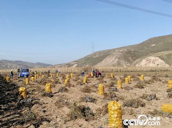 【我們的改革開放】祖孫三代和“土豆”的故事