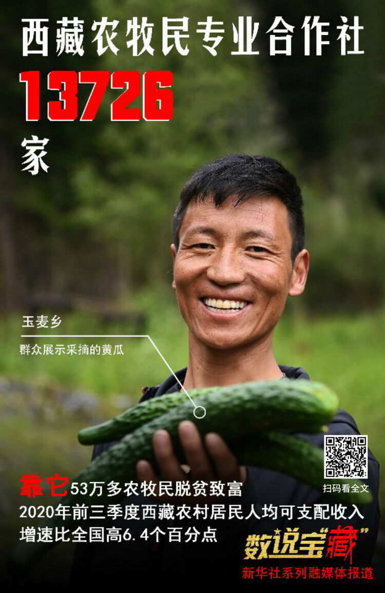 從這組數說寶“藏”海報,看西藏今日幸福生活