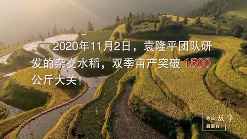 這位“90后”讓世界1/5的人吃上飽飯