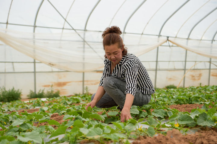 新華全媒+|沿著高速看中國|穿沙公路作紐帶 昔日大漠通四海