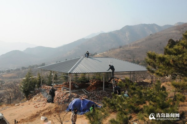 王哥莊這名男子真夠拼 墓地里建起160平違章房